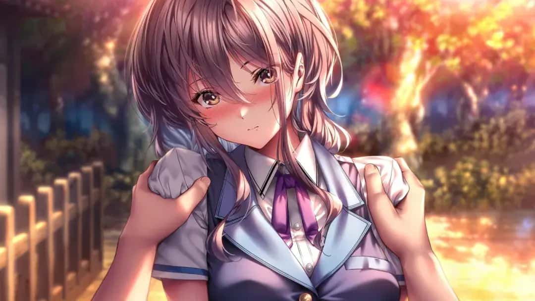 视觉数据5